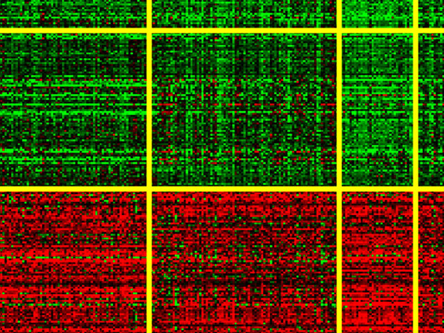 Functional Genomics - Monitor showing genes in color bands.
